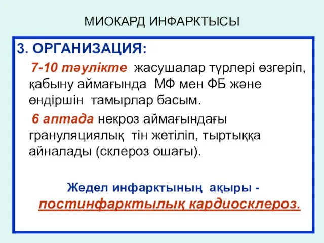 МИОКАРД ИНФАРКТЫСЫ 3. ОРГАНИЗАЦИЯ: 7-10 тәулікте жасушалар түрлері өзгеріп, қабыну