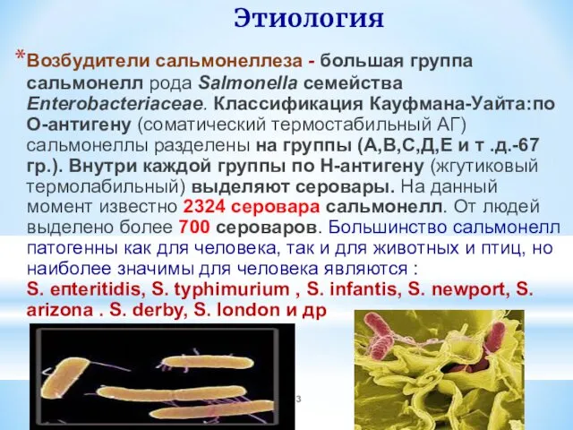 Этиология Возбудители сальмонеллеза - большая группа сальмонелл рода Salmonella семейства Enterobacteriaceae. Классификация Кауфмана-Уайта:по