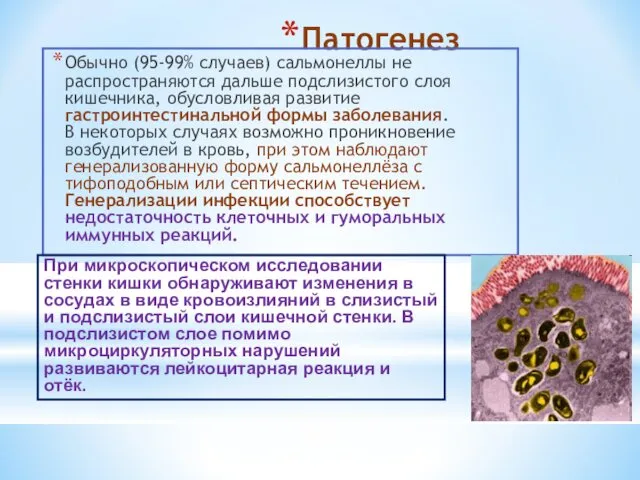 Патогенез Обычно (95-99% случаев) сальмонеллы не распространяются дальше подслизистого слоя