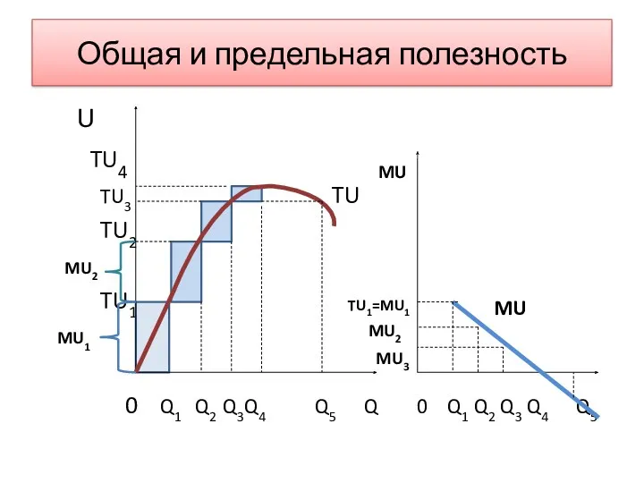 MU3 U TU4 MU TU3 TU TU2 MU2 TU1 MU1