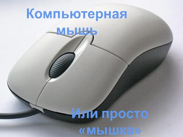 Компьютерная мышь Или просто «мышка»