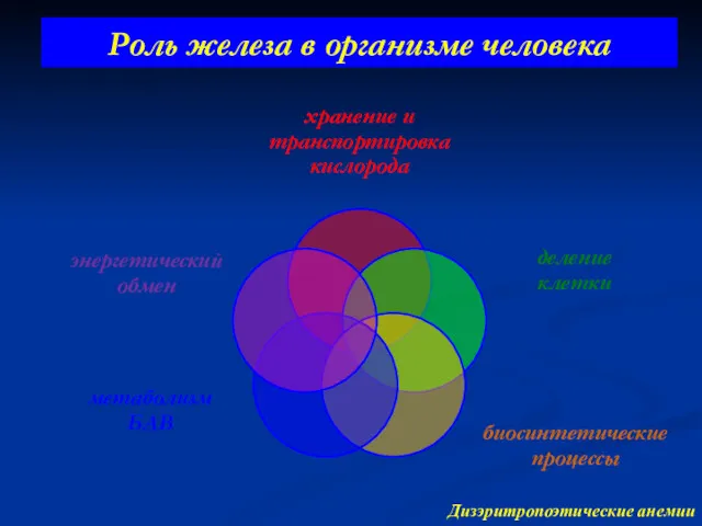 Роль железа в организме человека Дизэритропоэтические анемии