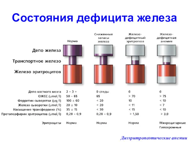 Состояния дефицита железа Дизэритропоэтические анемии