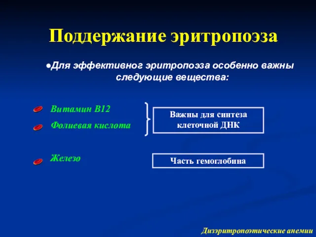 Для эффективног эритропоэза особенно важны следующие вещества: Витамин B12 Фолиевая