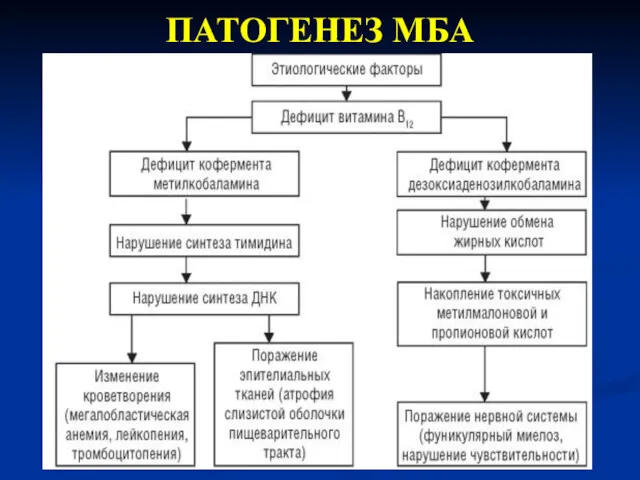 ПАТОГЕНЕЗ МБА