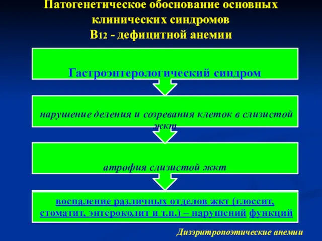 Патогенетическое обоснование основных клинических синдромов В12 - дефицитной анемии Дизэритропоэтические анемии