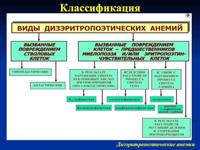 Классификация Дизэритропоэтические анемии