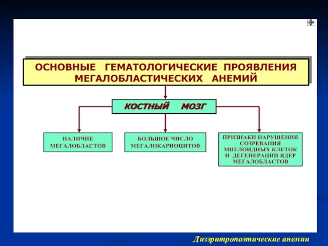 Дизэритропоэтические анемии