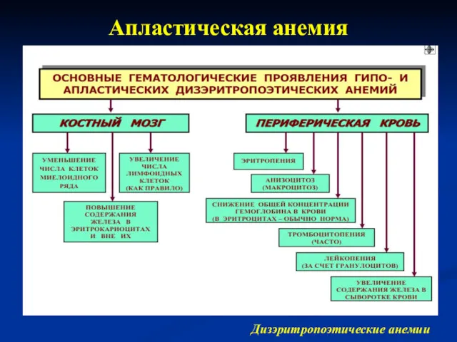 Апластическая анемия Дизэритропоэтические анемии