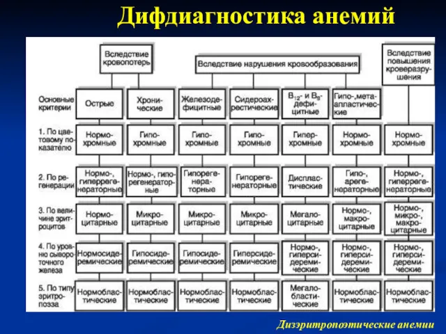 Дифдиагностика анемий Дизэритропоэтические анемии