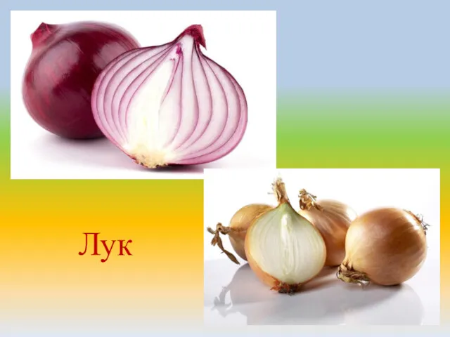 Лук