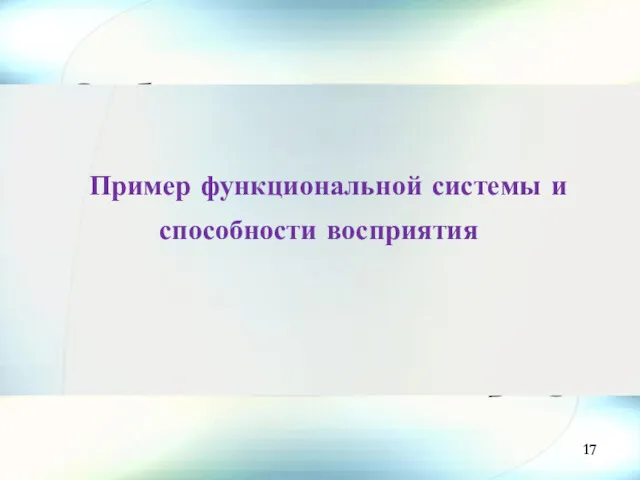 Пример функциональной системы и способности восприятия 17