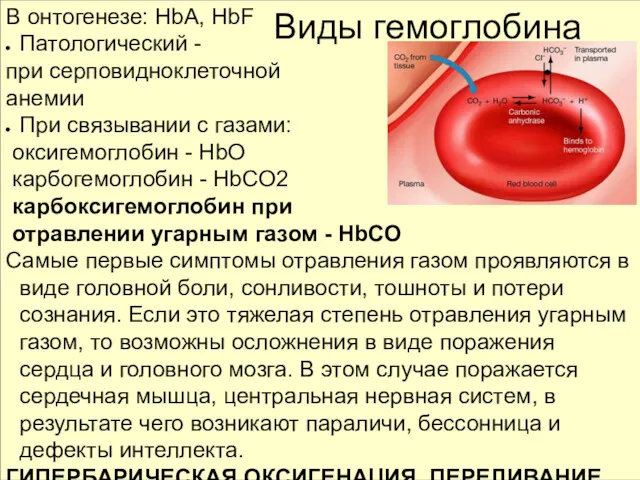 В онтогенезе: HbA, HbF Патологический - при серповидноклеточной анемии При