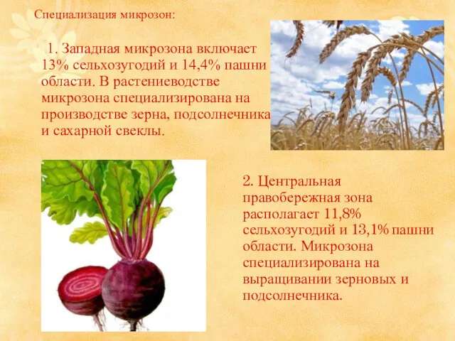 Специализация микрозон: 1. Западная микрозона включает 13% сельхозугодий и 14,4%