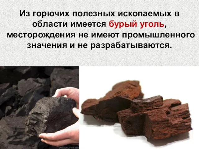 Из горючих полезных ископаемых в области имеется бурый уголь, месторождения