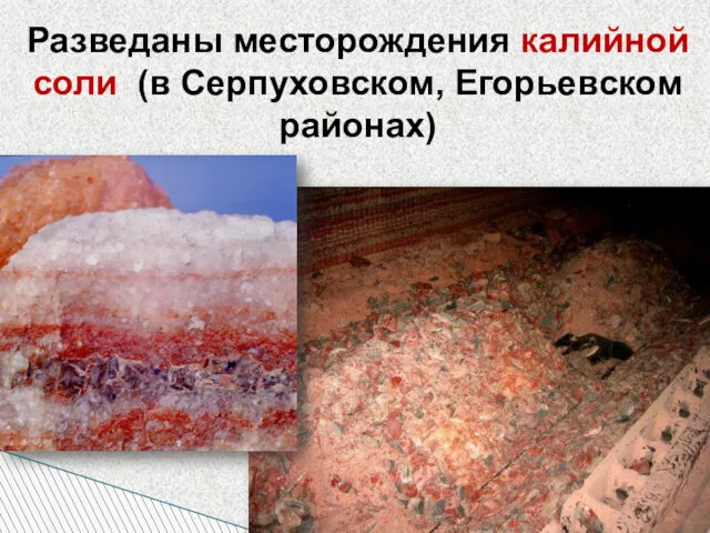 Разведаны месторождения калийной соли (в Серпуховском, Егорьевском районах)