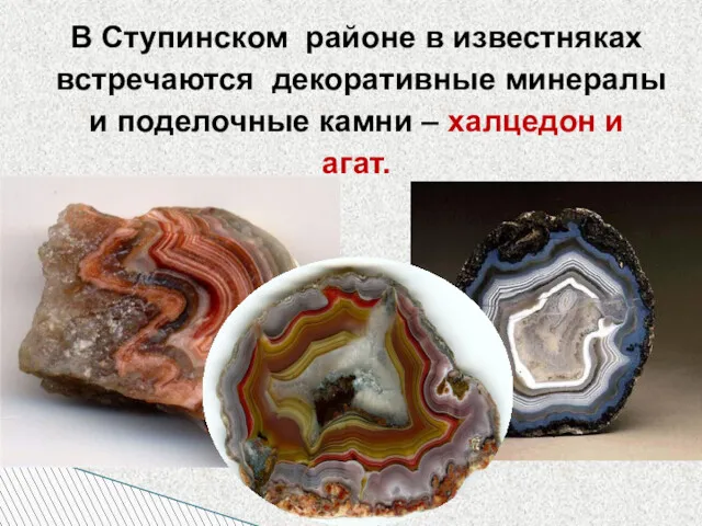 В Ступинском районе в известняках встречаются декоративные минералы и поделочные камни – халцедон и агат.