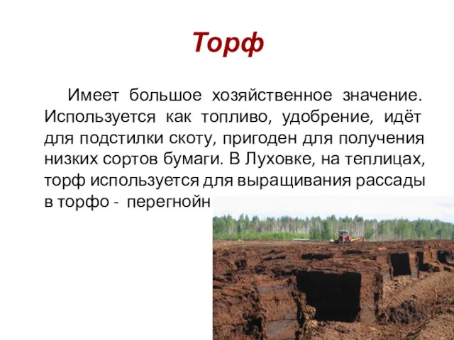 Торф Имеет большое хозяйственное значение. Используется как топливо, удобрение, идёт