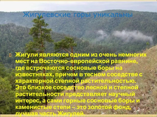 Жигули являются одним из очень немногих мест на Восточно-европейской равнине,