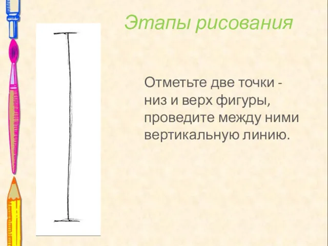 Этапы рисования Отметьте две точки - низ и верх фигуры, проведите между ними вертикальную линию.