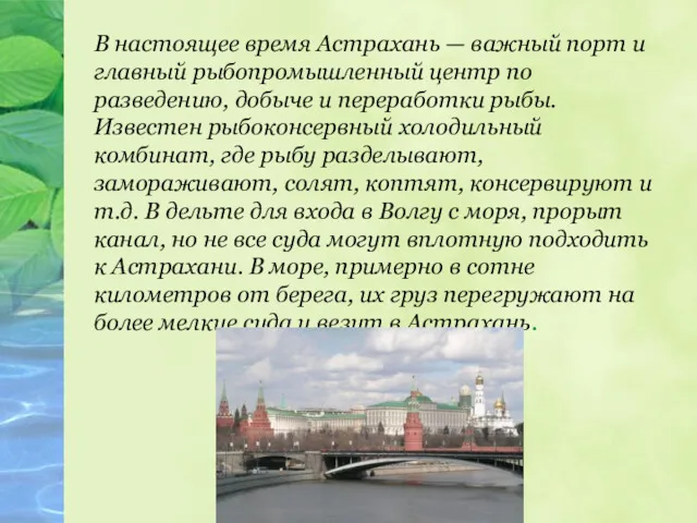 В настоящее время Астрахань — важный порт и главный рыбопромышленный
