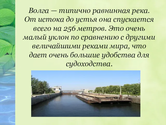 Волга — типично равнинная река. От истока до устья она