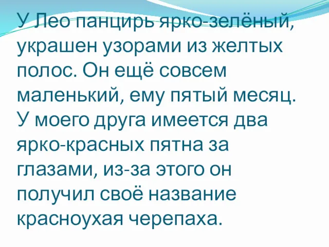 У Лео панцирь ярко-зелёный, украшен узорами из желтых полос. Он