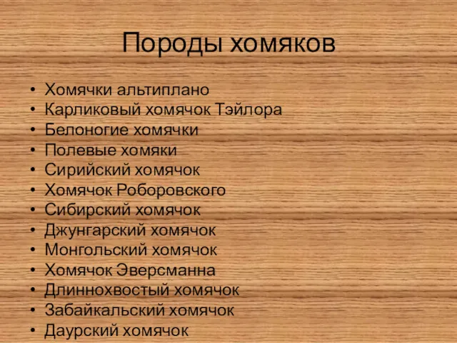 Породы хомяков Хомячки альтиплано Карликовый хомячок Тэйлора Белоногие хомячки Полевые