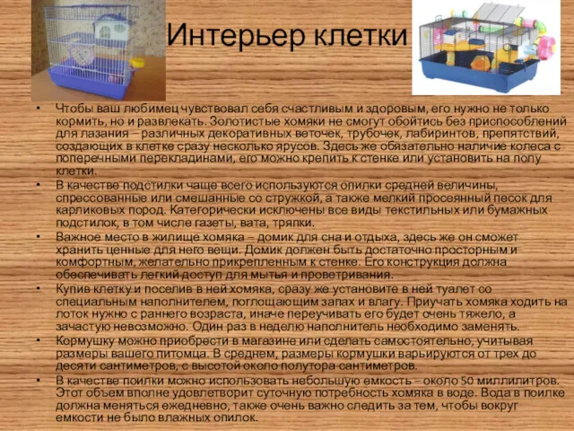 Интерьер клетки Чтобы ваш любимец чувствовал себя счастливым и здоровым,