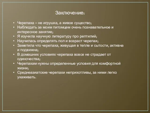 Заключение: Черепаха – не игрушка, а живое существо; Наблюдать за