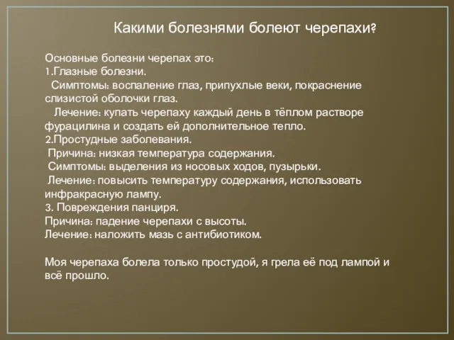 Какими болезнями болеют черепахи? Основные болезни черепах это: 1.Глазные болезни.