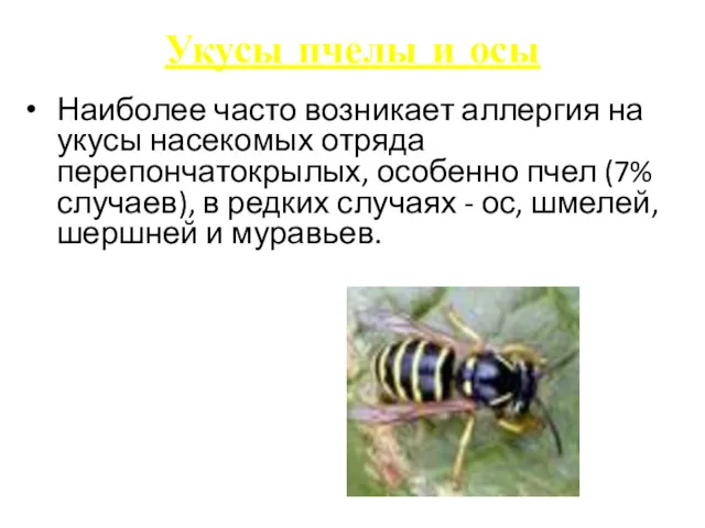 Укусы пчелы и осы Наиболее часто возникает аллергия на укусы