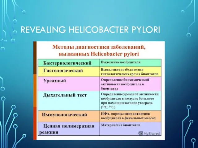 REVEALING HELICOBACTER PYLORI