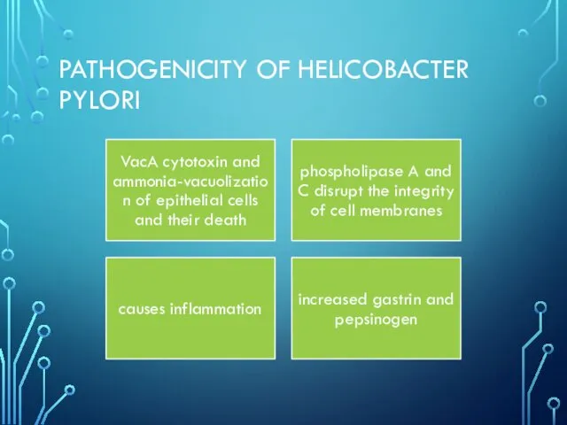 PATHOGENICITY OF HELICOBACTER PYLORI