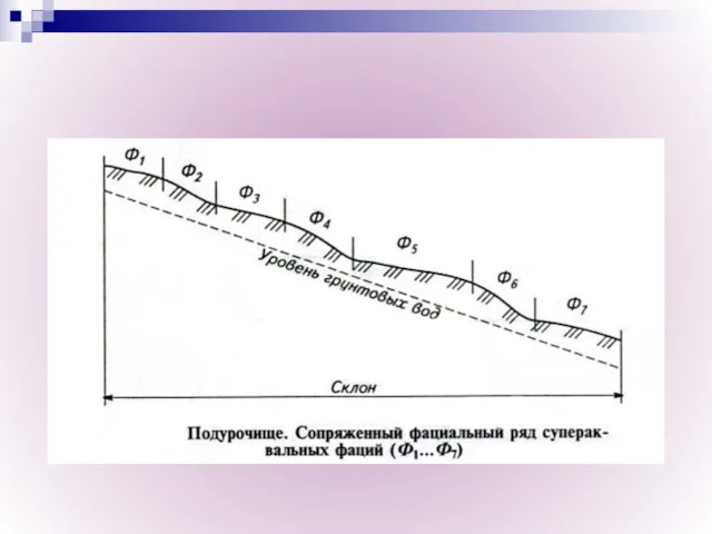 Рис Подурочище