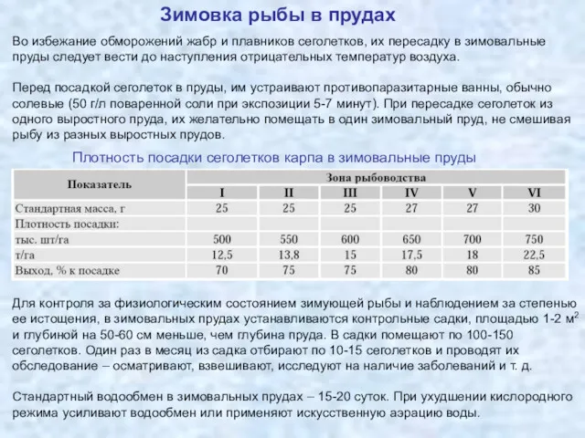 Зимовка рыбы в прудах Во избежание обморожений жабр и плавников сеголетков, их пересадку