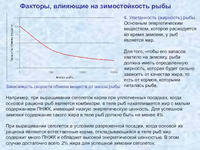 Факторы, влияющие на зимостойкость рыбы Зависимость скорости обмена веществ от