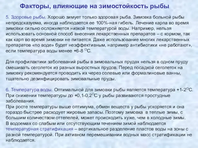 Факторы, влияющие на зимостойкость рыбы 5. Здоровье рыбы. Хорошо зимует