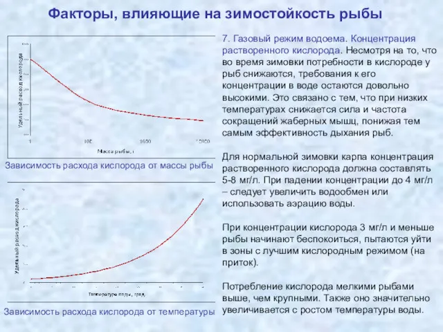 Факторы, влияющие на зимостойкость рыбы 7. Газовый режим водоема. Концентрация растворенного кислорода. Несмотря