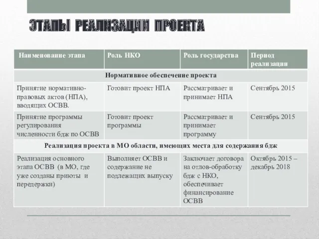 ЭТАПЫ РЕАЛИЗАЦИИ ПРОЕКТА