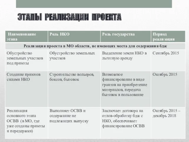 ЭТАПЫ РЕАЛИЗАЦИИ ПРОЕКТА