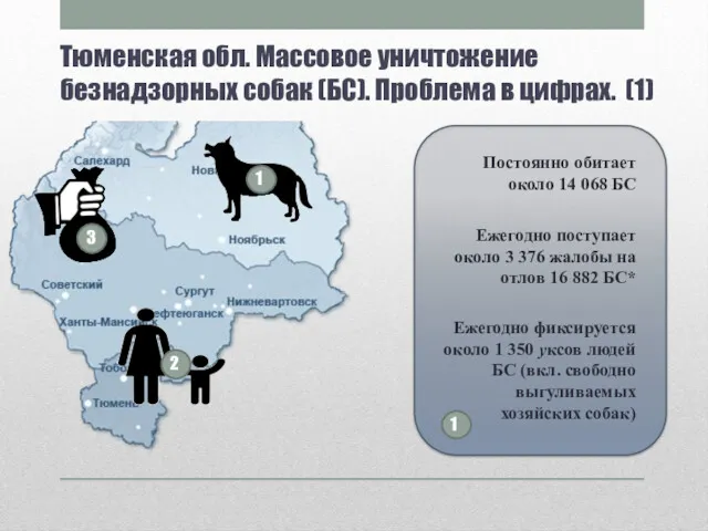 Тюменская обл. Массовое уничтожение безнадзорных собак (БС). Проблема в цифрах.