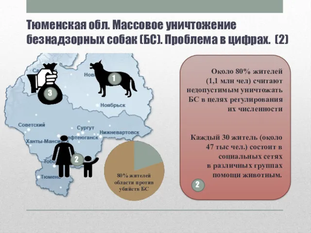 Тюменская обл. Массовое уничтожение безнадзорных собак (БС). Проблема в цифрах.