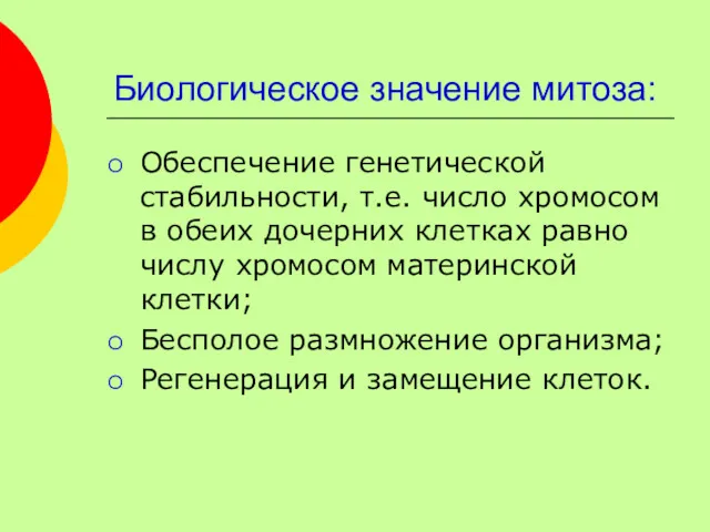 Биологическое значение митоза: Обеспечение генетической стабильности, т.е. число хромосом в