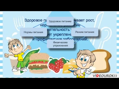 Здоровое питание обеспечивает рост, нормальное развитие и жизнедеятельность человека. Способствует