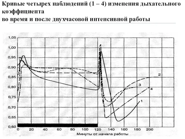 Кривые четырех наблюдений (1 – 4) изменения дыхательного коэффициента во время и после двухчасовой интенсивной работы