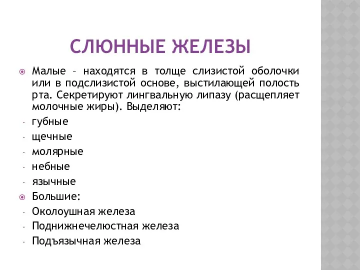 СЛЮННЫЕ ЖЕЛЕЗЫ Малые – находятся в толще слизистой оболочки или в подслизистой основе,