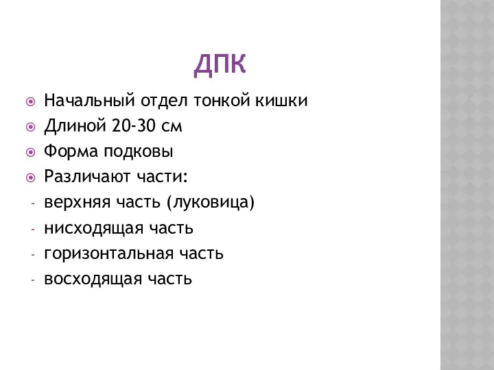 ДПК Начальный отдел тонкой кишки Длиной 20-30 см Форма подковы Различают части: верхняя