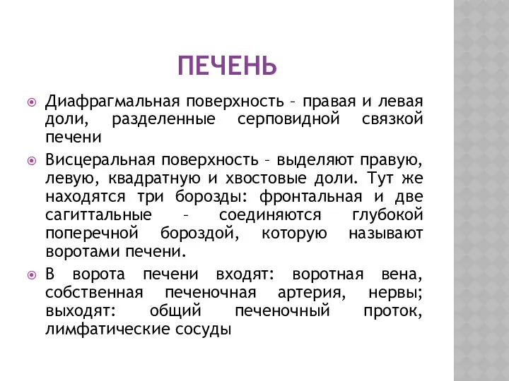 ПЕЧЕНЬ Диафрагмальная поверхность – правая и левая доли, разделенные серповидной связкой печени Висцеральная