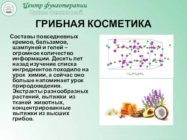 ГРИБНАЯ КОСМЕТИКА Составы повседневных кремов, бальзамов, шампуней и гелей – огромное количество информации.